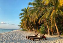 De beste reisbenodigdheden voor een perfecte vakantie
