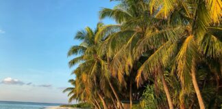 De beste reisbenodigdheden voor een perfecte vakantie