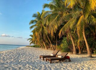 De beste reisbenodigdheden voor een perfecte vakantie