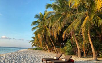 De beste reisbenodigdheden voor een perfecte vakantie